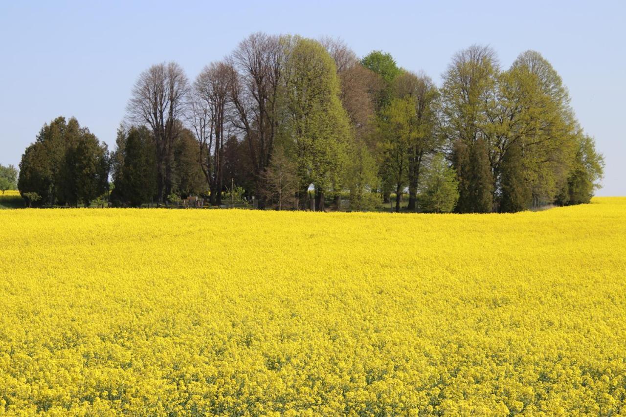 Ferienhaus "Ullersdorfer Teiche" Ullersdorf  エクステリア 写真